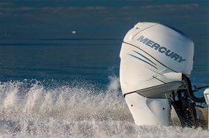 S pasare na Krku ukraden vanbrodski Mercury