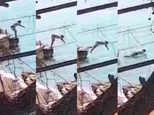 POKUŠAJTE OSTATI OZBILJNI Htjela napraviti skok “na glavu” pa izvela bolan manevar