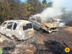 MALI LOŠINJ Forenzičari saznali uzrok požara u kojem je izgorjelo 11 automobila na šumskom parkiralištu