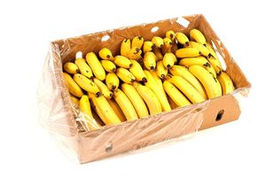 PLOČE Više od 18 kg kokaina skriveno u kutiji s bananama