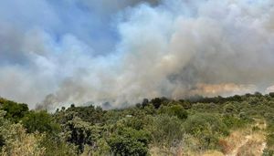 VELIKI POŽAR NA ČIOVU – Gori na dvije lokacije, stigao i kanader