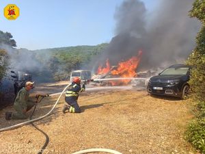 FOTO Putem do lošinjske plaže izgorjelo više automobila na divljem šumskom parkiralištu