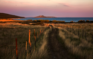 Povratak prirodi uz pješačke ture i filmske projekcije u divljini