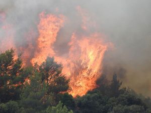 VATRENA STIHIJA IZNAD MARINE Požar gase dva kanadera i više od 50 vatrogasaca na terenu