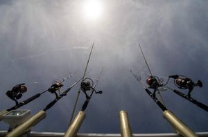 U Jezera na Murteru stiglo 55 natjecatelja u Big game fishingu