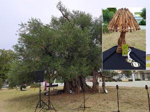 Otvorena 4. kiparsko-slikarska kolonija u Kaštelima, posvećena 1500 godina staroj maslini