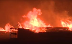 TISUĆE LJUDI EVAKUIRANO Požari proždiru francusku rivijeru