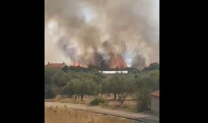 VELIKI POŽAR KOD PULE Gorjelo u blizini kuća, ali stavljen je pod nadzor