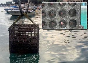 S dna mora izvađeno tri, a potopljeno pet tisuća butelja vrhunskog vina