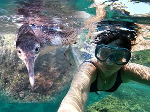 VIDEO Poznatu televizijsku novinarku napao gnjurac! Sve je snimila…