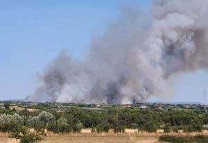 BUKNUO VELIKI POŽAR Diže se gusti dim kod Sukošana, vatrogasci brane i kuće!