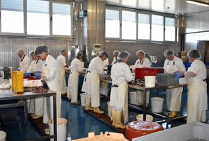 Značajan porast zaposlenih u Zadarskoj županiji