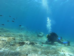 TRI MORA KROZ FOTOOBJEKTIV Izložba Društva istraživača mora 20.000 milja