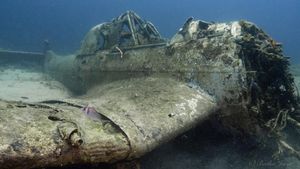 FOTO Zaron do “Štuke” kod Žirja – Rijetko očuvana olupina zrakoplova iz Drugog svjetskog rata