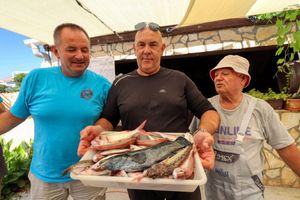 Ovogodišnji rekord Kupa Spavalice – riba vrana od 672 grama