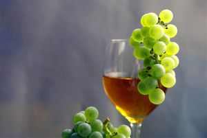 U Službenom listu EU objavljen hrvatski zahtjev za zaštitom tradicionalnog izraza „Prošek“