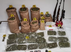 60-godišnjak s Hvara uhićen s 23 kilograma marihuane