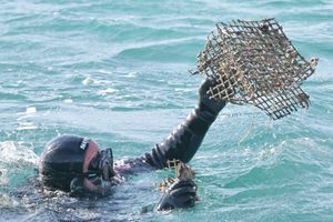 Iz novaljskog akvatorija tijekom vikenda izvađeno 10 kubika otpada, uglavnom plastike