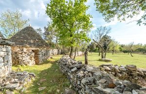 Čarolija Vodnjana – Kamen i masline, pretočeni u kažune i maslinovo ulje