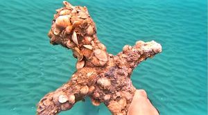 VIDEO Na morskom dnu pronađen križarski mač star 900 godina