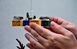 VIDEO Spašavaju koraljni greben uz pomoć LEGO kockica