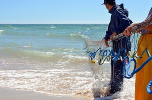 Raste interes za studijima Morskog ribarstva i Vojnog pomorstva na engleskom jeziku u Splitu