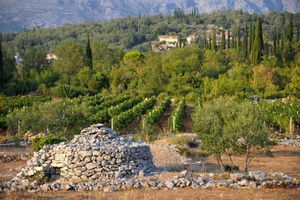 The Guardian je među 10 najljepših jesenskih mjesta za odmor uvrstio i Konavle