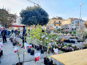 U Poreču rekordan interes za akciju „Zasadi stablo, ne budi panj“, građanima podijeljeno više od 500 sadnica