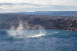 OLUJNA BURA Ne plove trajekti, zatvoreni autocesta, Paški most i magistrala kod Senja