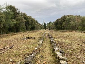 Od bivšeg rasadnika Hrvatskih šuma rade poučnu stazu s autohtonim otočkim raslinjem