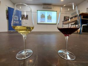 Na Mljetu održano treće edukativno kušanje vina, likera i destilata