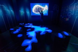 Nacionalni park Brijuni ispisao je povijest kao najnoviji Blue Park na svijetu