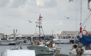 ODRŽIVO RIBARSTVO U KOMIŽI “Djeca Neptuna” čuvaju bioraznolikost viškog arhipelaga