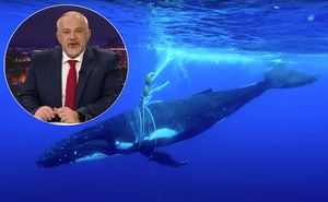 Šprajc o europskim birokratima i zabrani plastičnih vrećica: “Najveći zagađivači mora plastikom su ribari!”