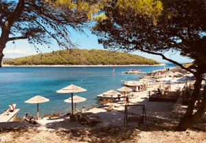 Otok mladosti kod Šibenika dobio novog vlasnika, koji planira opremiti luksuzni kamp