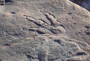 Na plaži u Walesu otkriveni tragovi prethodnika dinosaura