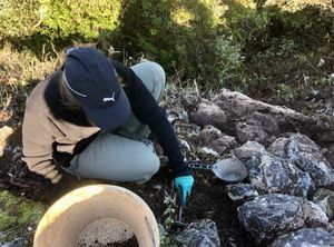 Počela arheološka istraživanja na otoku Mljetu