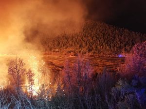 BUKTINJA U DALMACIJI Noćas planuo požar u ornitološkom rezervatu