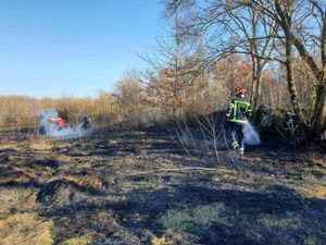 U požaru kod Rovinja izgorjela i kamp prikolica
