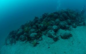 Umjetni grebeni u Jadranu: A kao amforište – 1. dio