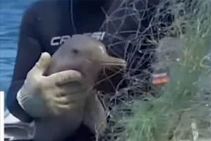 Naš suradnik u dvije godine more očistio od 150 tona ribarskih mreža