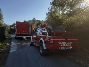 Opet izbio požar zbog paljenja vatre tijekom jakog vjetra