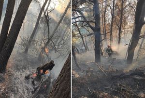 Lokalizirani šumski požari na makarskom području