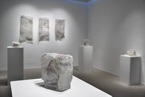 U Crikvenici svečano otvorena samostalna izložba akademskog umjetnika i profesora Antona Vrlića