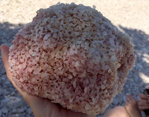 ŠTO JE OVO? “Našli smo je da pluta kod Brača!” – Evo o čemu se radi…