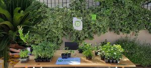 Od zelenih površina do društvenog vrta u Splitu