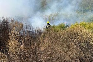 Požar u Istri pod kontrolom gasitelja – Na intervenciji sudjeluje ukupno 81 vatrogasac s 28 vatrogasnih vozila