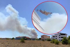 Veliki požar izbio na otoku Viru