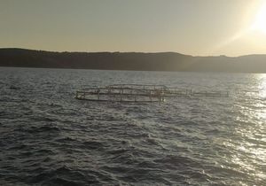 NEVJEROJATNO U Splitskim vratima plutao – kavez! Trajekt ga izbjegao za dlaku