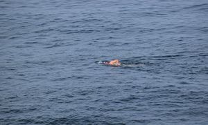 Policija ovaj vikend opet sankcionirala nautičare, ali i jednog plivača